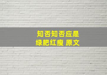 知否知否应是绿肥红瘦 原文